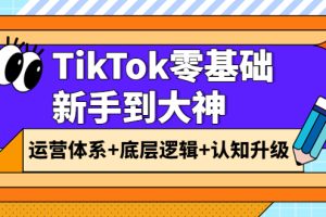 （3680期）TikTok零基础新手到大神：运营体系+底层逻辑+认知升级（9节系列课）
