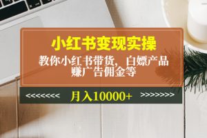 （4780期）小红书变现实操：教你小红书带货，白嫖产品，赚广告佣金等，月入10000+