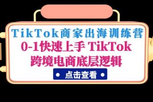 （4795期）TikTok商家出海训练营：0-1快速上手 TikTok跨境电商底层逻辑