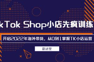 （2463期）TikTok Shop小店先疯训练营，开启2022年海外带货，从0到1掌握TK小店运营