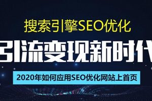 （1402期）搜索引擎优化总监实战VIP课堂【透析2020最新案例】快速实现年新30w(第9期)