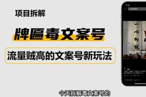 （4676期）2023抖音快手毒文案新玩法，牌匾文案号，起号快易变现