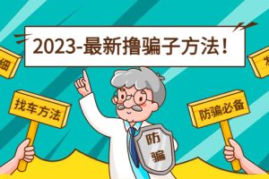 （4574期）最新反撸骗子方法日赚200+【13个超详细找车方法+发车渠道】视频教程+文档