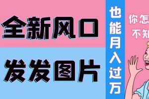 （3868期）抖音头像号变现0基础教程：全新风口，发发图片也能变现月入10000+