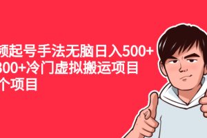 （2224期）中视频起号手法无脑日入500+日入300+冷门虚拟搬运项目（共11个项目）