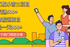 （2111期）无门槛小苦力项目 每天赚500+声音搬运项目 轻松一天300+（10个项目）