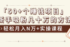 （1923期）分享50+个最新2021赚钱项目：新手吸粉几十万方法，轻松月入N万+实操课程