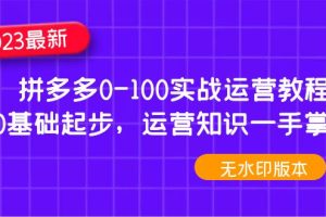 （4835期）2023拼多多0-100实战运营教程，0基础起步，运营知识一手掌握