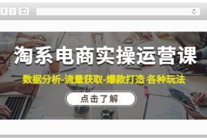 （4463期）淘系电商实操运营课：数据分析-流量获取-爆款打造 各种玩法（63节）