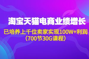 （4409期）淘系天猫电商业绩增长：已培养上千位卖家实现100W+利润（700节30G课程）