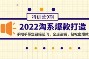 （4334期）2022淘系爆款打造特训营9期：手把手带您链接起飞，全店运销，轻松出爆款