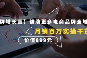 （4264期）【王牌增长营】帮助更多电商品牌全域增长，月销百万实操干货，价值899元