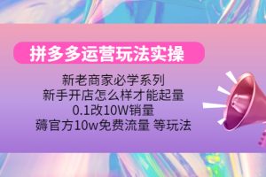 （4160期）拼多多运营玩法实操，0.1改10W销量，薅官方10w免费流量 等玩法！