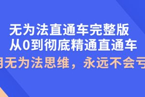 （3921期）无为法直通车完整版：从0到彻底精通直通车，用无为法思维，永远不会亏损