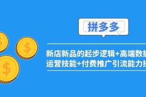 （3824期）2022拼多多：新店新品的起步逻辑+高端数据化运营技能+付费推广引流能力提升