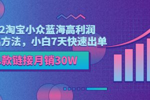 （3208期）2022淘宝小众蓝海高利润选品方法，小白7天快速出单，单款链接月销30W