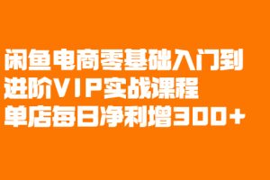 （2082期）闲鱼电商零基础入门到进阶VIP实战课程，单店每日净利增300+