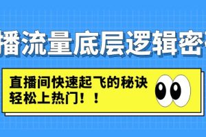 （4756期）直播流量底层逻辑密码：直播间快速起飞的秘诀，轻松上热门