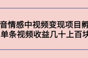 （4282期）黄岛主副业孵化营第5期：抖音情感中视频变现项目孵化 单条视频收益几十上百