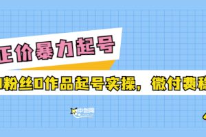 （3377期）正价暴力起实操号：0粉丝0作品起号实操，微付费稳号