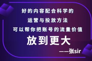 （2747期）张sir账号流量增长课，告别海王流量，让你的流量更精准