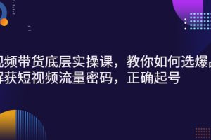 （2685期）短视频带货底层实操课，教你如何选爆品、了解获短视频流量密码，正确起号