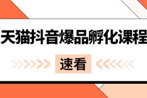 （2529期）《天猫抖音爆品孵化课程》独家绝密新品引爆法