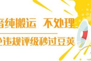 （1394期）抖音纯搬运 不处理 小技巧，30秒发一个作品，避免违规评级秒过豆荚(无水印)