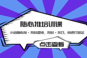 （5145期）随心推培训课：小店随心推·投放逻辑，投放·技巧，快速打标签