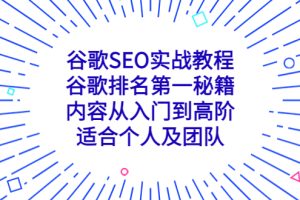 （5261期）谷歌SEO实战教程：谷歌排名第一秘籍，内容从入门到高阶，适合个人及团队