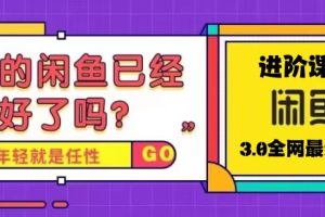 （5289期）火爆全网的咸鱼玩法进阶课程，单号日入1K的咸鱼进阶课程