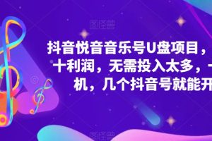 （5393期）抖音音乐号U盘项目 一单几十利润 无需投入太多 一台手机 几个抖音号就开始