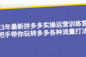 （5435期）23年最新拼多多实操运营训练营：手把手带你玩转多多各种流量打法！