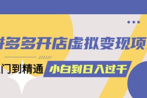 （5457期）拼多多开店虚拟变现项目：入门到精通 从小白到日入1000（完整版）4月10更新