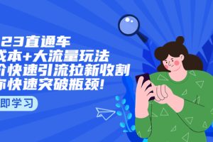 （5471期）2023直通小成本+大流量玩法，低价快速引流拉新收割，让你快速突破瓶颈!