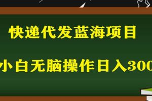 （5573期）2023最新蓝海快递代发项目，小白零成本照抄也能日入300+