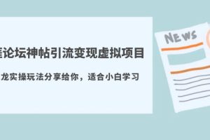 （5784期）天涯论坛神帖引流变现虚拟项目，一条龙实操玩法分享给你（教程+资源）