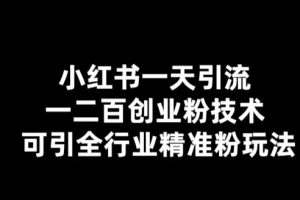 （5819期）【引流必备】小红书一天引流一二百创业粉技术，可引全行业精准粉玩法