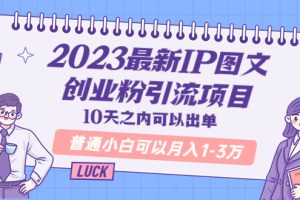 （5862期）2023最新IP图文创业粉引流项目，10天之内可以出单 普通小白可以月入1-3万