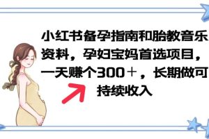 （6114期）小红书备孕指南和胎教音乐资料 孕妇宝妈首选项目 一天赚个300＋长期可做