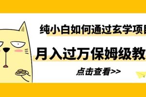 （6185期）纯小白如何通过玄学项目月入过万保姆级教程