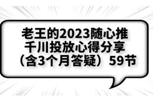 （6244期）老王的2023随心推+千川投放心得分享（含3个月答疑）59节