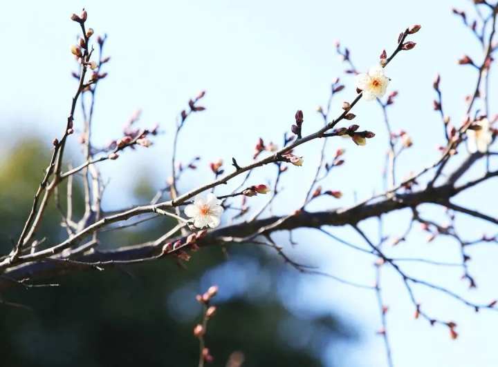 推荐台湾当地经典景点_保定驴友推荐免费景点_杭州景点推荐