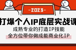 （6417期）打爆·个人IP底层实战课，成熟专业的打造IP技能 全方位带你做成能商业化IP