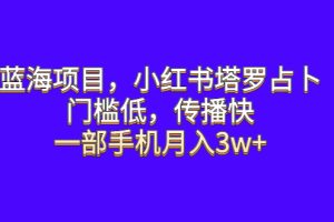 （6427期）蓝海项目，小红书塔罗占卜，门槛低，传播快，一部手机月入3w+