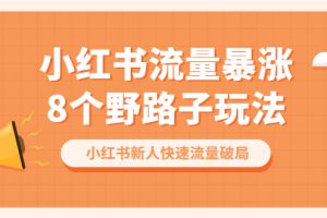 （6476期）小红书流量-暴涨8个野路子玩法：小红书新人快速流量破局（8节课）