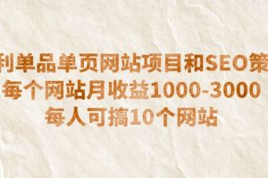 （6503期）暴利单品单页网站项目和SEO策略  每个网站月收益1000-3000  每人可搞10个