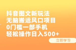 （6527期）抖音图文新玩法，无脑搬运风口项目，0门槛一部手机轻松操作日入500+