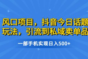 （6588期）风口项目，抖音今日话题玩法，引流到私域卖单品，一部手机实现日入500+