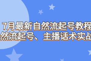 （6748期）7月最新自然流起号教程，自然流起号、主播话术实战课